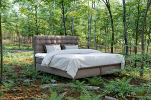 ORGANIC Kontinental forest bright BONUS JPG